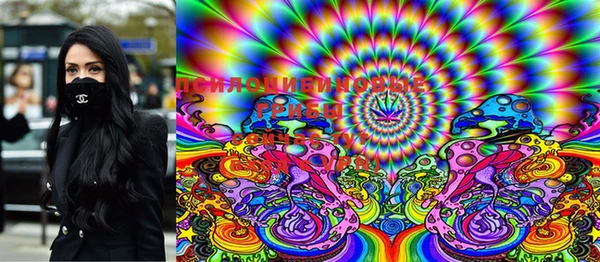 ГАЛЛЮЦИНОГЕННЫЕ ГРИБЫ Верея