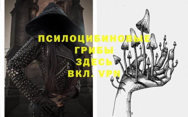 Альфа ПВП Верхний Тагил