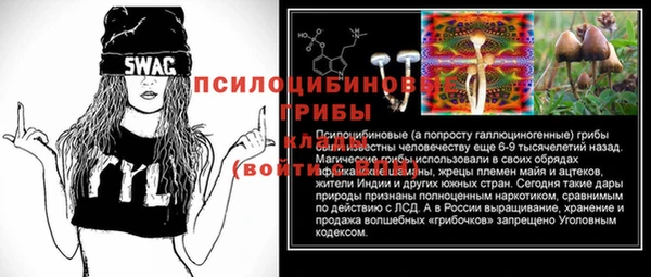 ГАЛЛЮЦИНОГЕННЫЕ ГРИБЫ Верея
